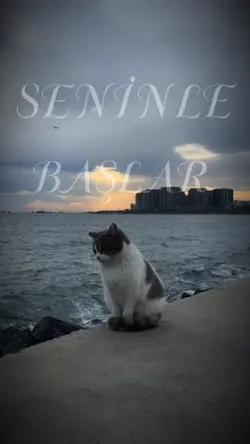 seninle biterim 🫶