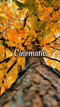 CINEMATIC 
