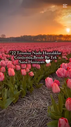 22 temmuz