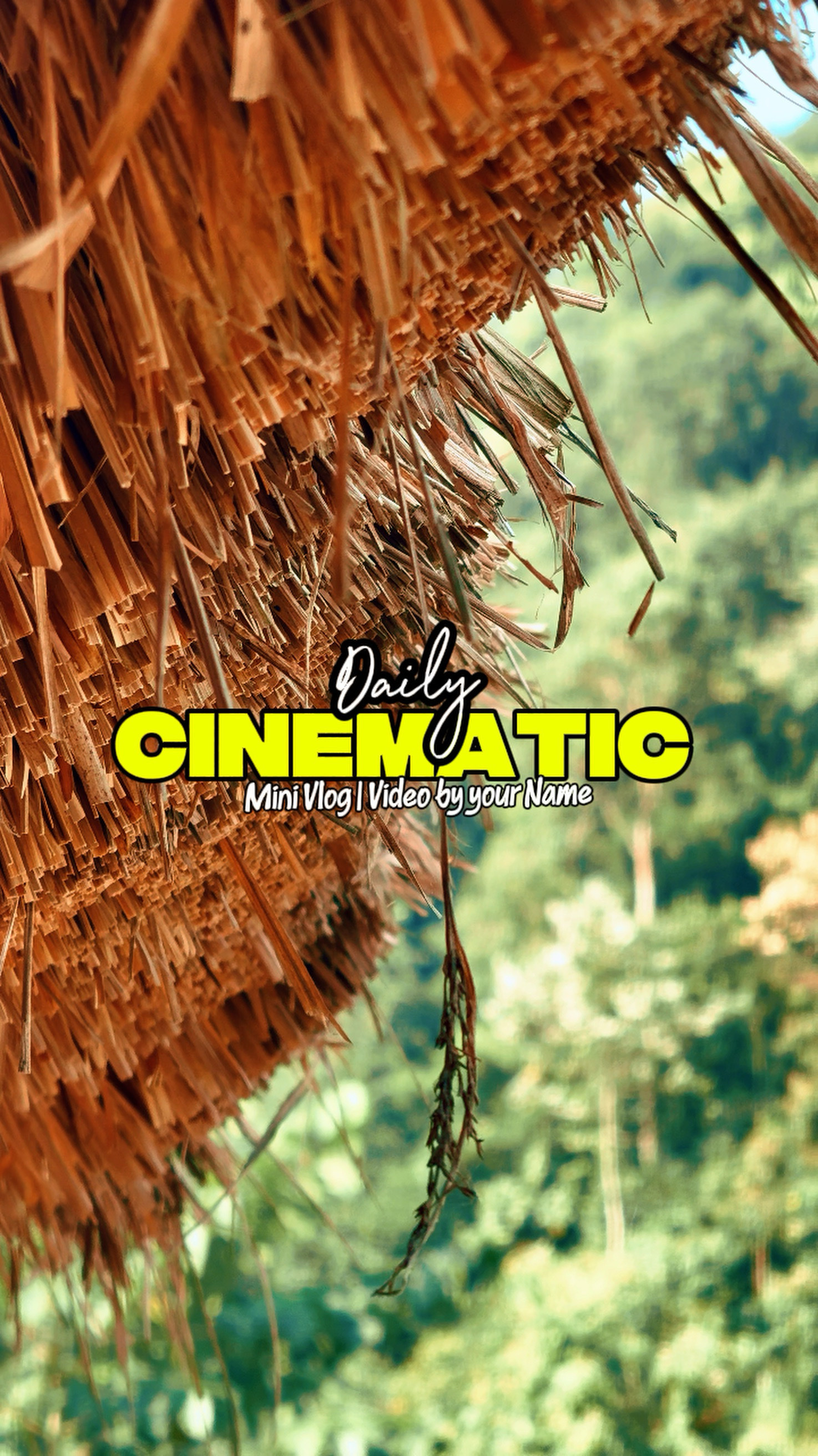 Daily Cinematic 