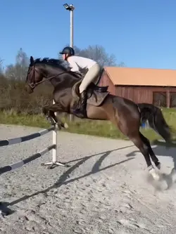 Your love FAKE ⚠️‼️