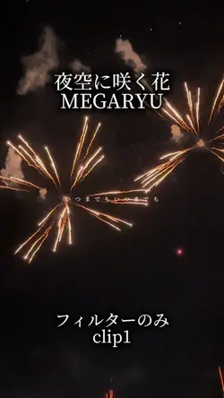 夜空に咲く花/MEGARYU