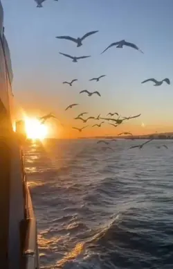 Guten Morgen