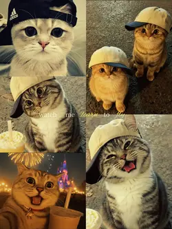 5pict