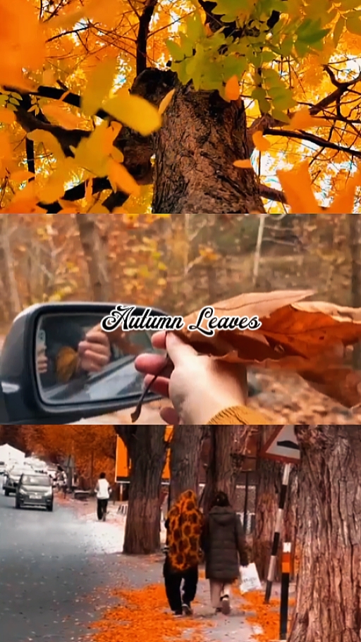 AUTUMN LEAVES
