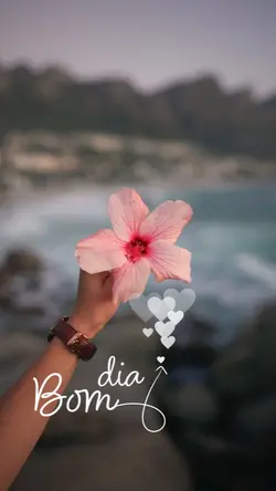 Bom dia...