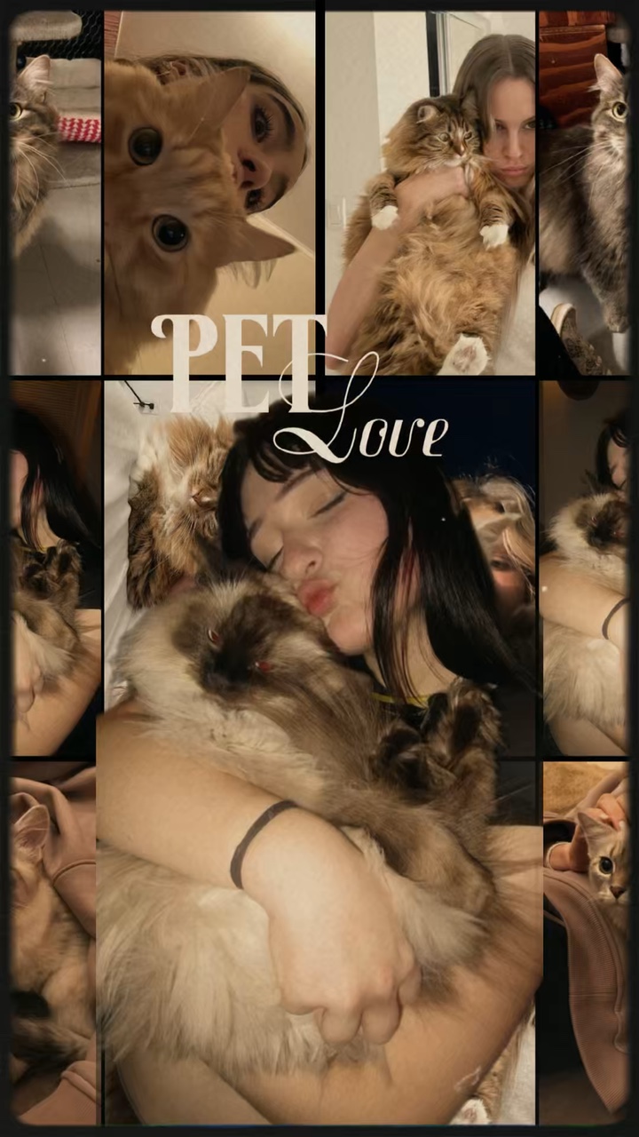 Amor a las mascotas