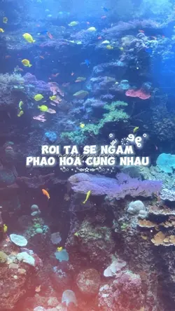 Mẫu 2 ảnh cinh cinh