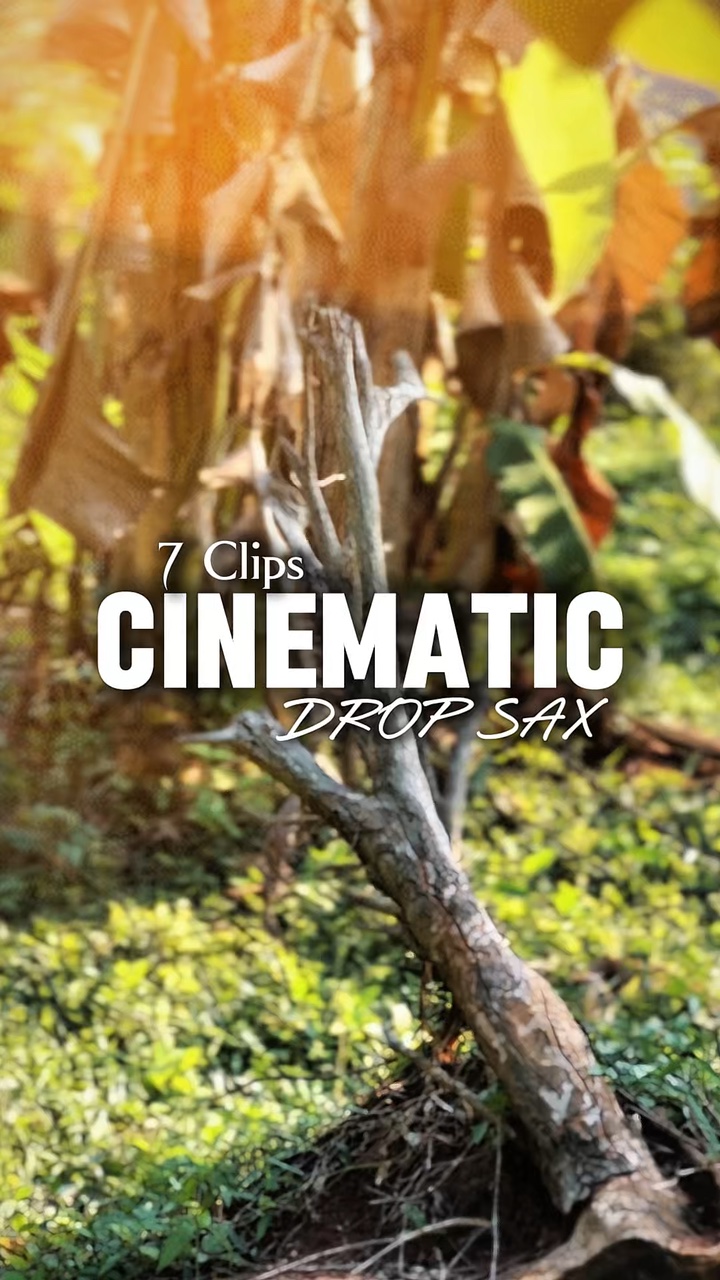 DROP SAX