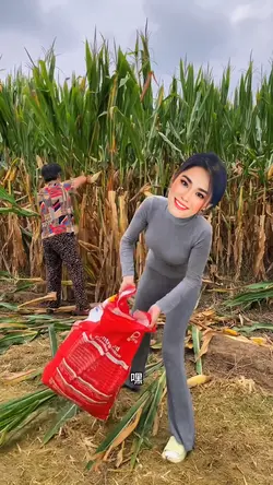 Ghép mặt
