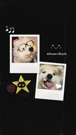 รักเธอมากขึ้นทุกวัน