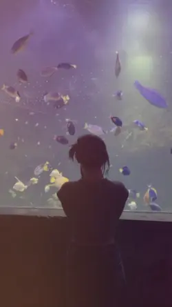 slowmo 