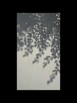 Quando un fiore trasforma lo scatto