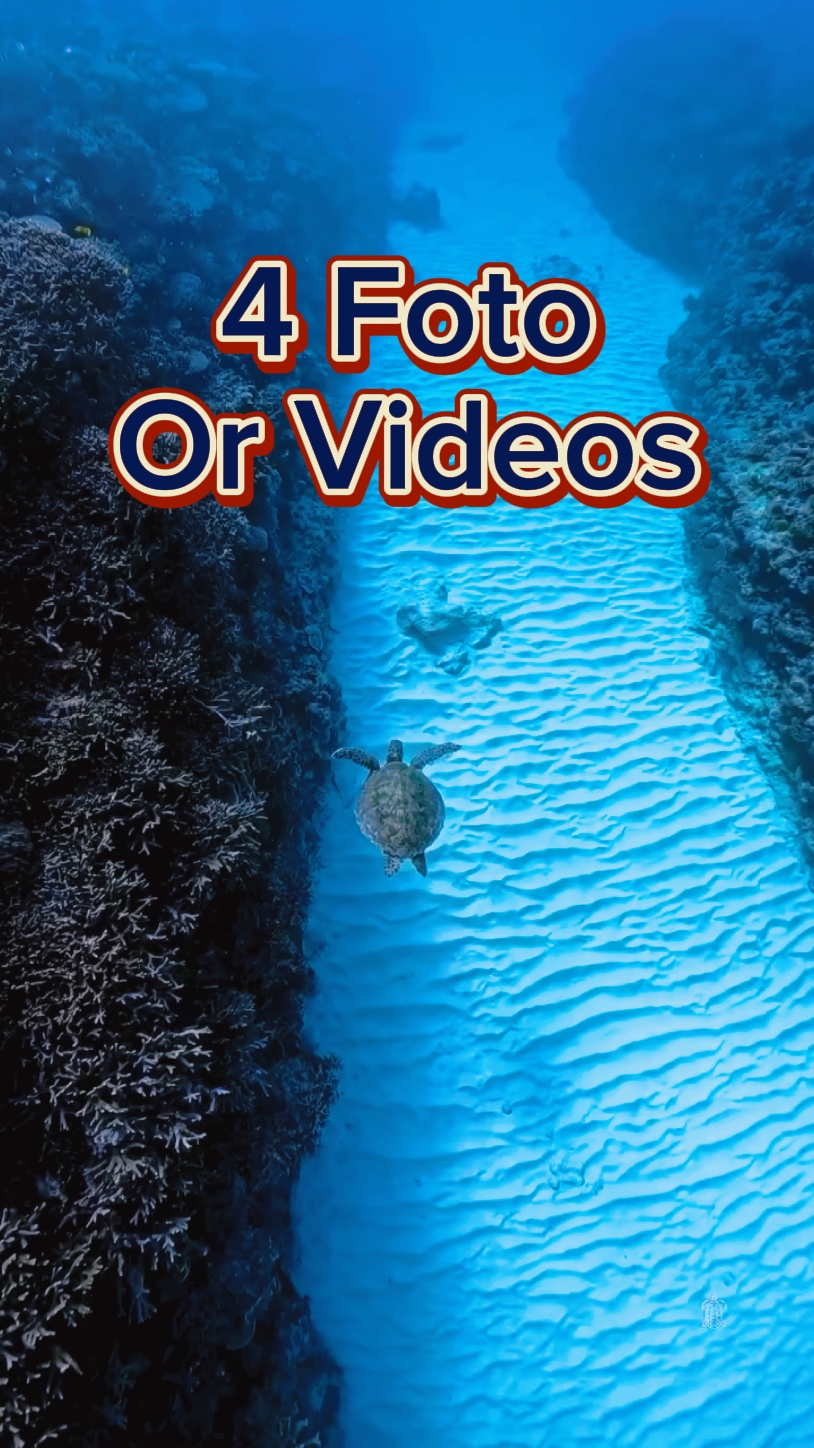 4 Video Slides