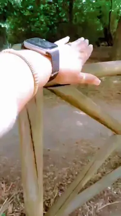 O mere dil ke chain
