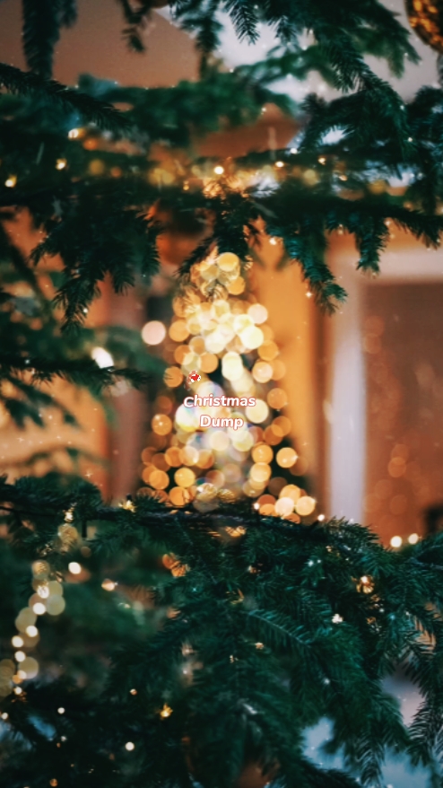Christmas dump