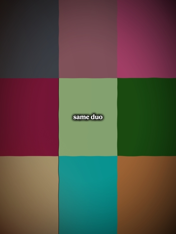 Dasselbe Duo