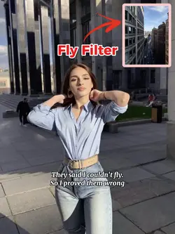 Fly Filter