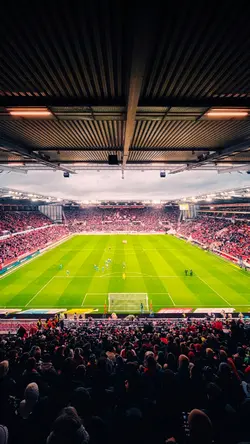 Stadion vibes