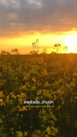 ลาถิ่น 