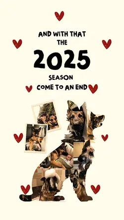 2025 Dog Recap