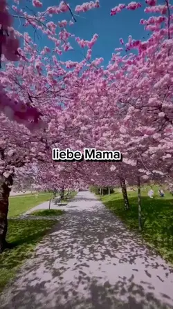 Liebe Mama