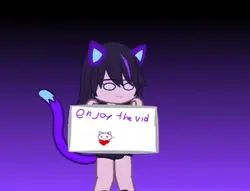 Vegas pro