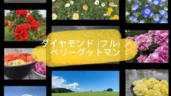 ダイヤモンド(フル)⚾️