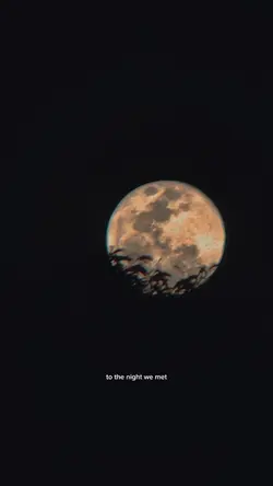 the night we met