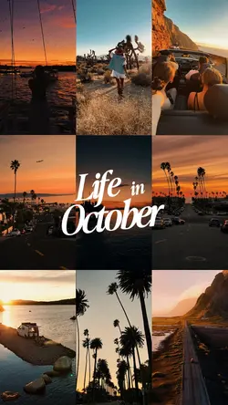 October Dump 2025
