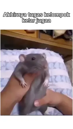penutup tugas vidio