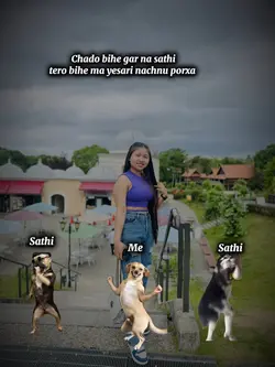 Dog dance 🤣