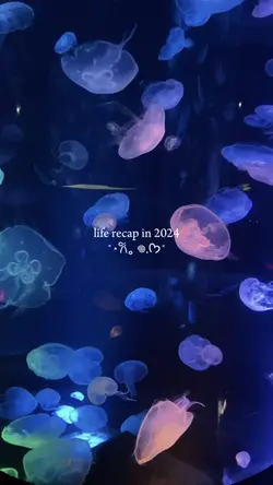 2024 recap | 100clip