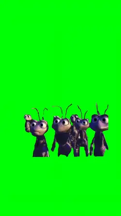ANTS STARING