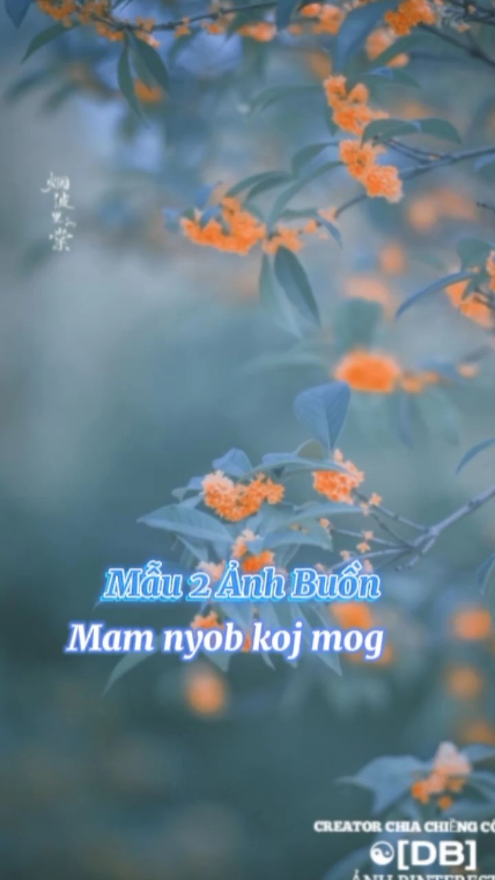 Mẫu 2 ảnh buồn 