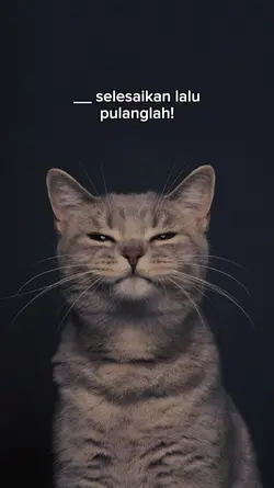 selesaikan