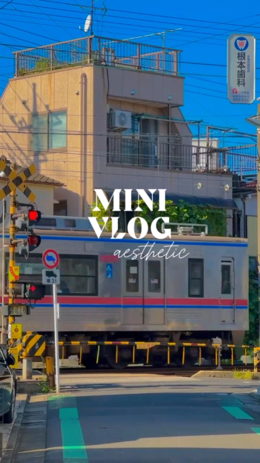 Mini vlog aesthetic