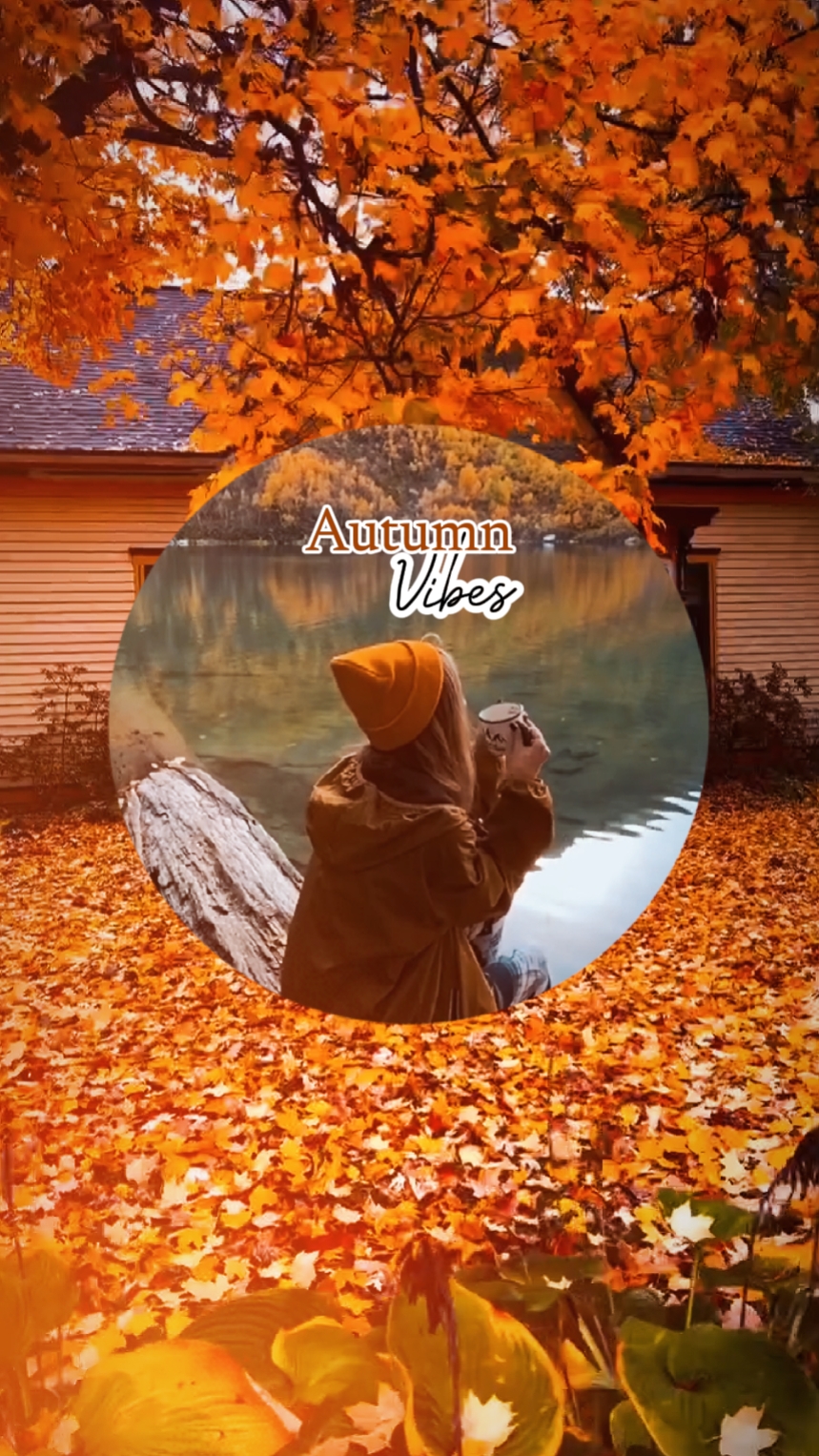 Autumn Vibes