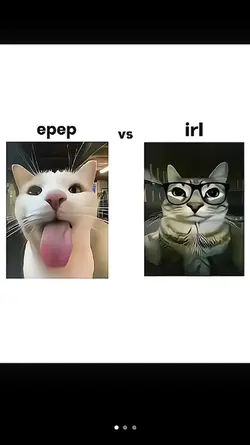 epep vs real life