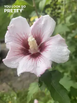 we fell in love in o