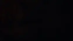 もう声は届かないのね_