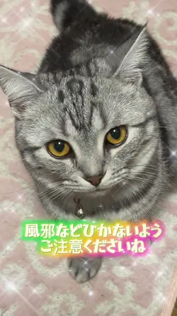 季節の変わり目に