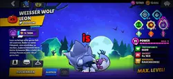 is your main skill ?
