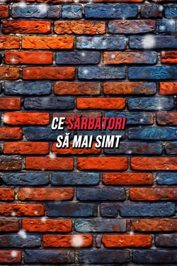 CE SĂRBĂTORI 