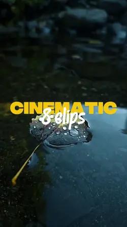 CINEMA5IC 8 CLIPS