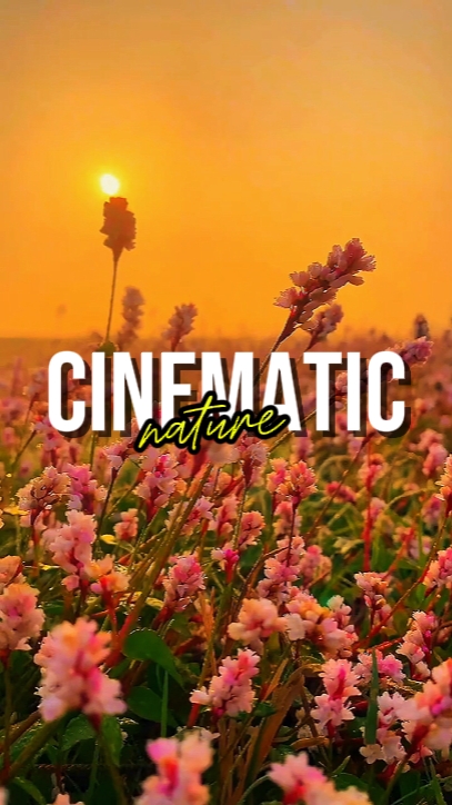 CINEMATIC NATURE