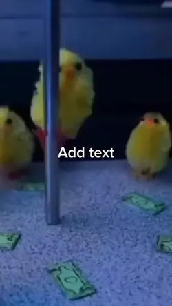 Pole dancer 
