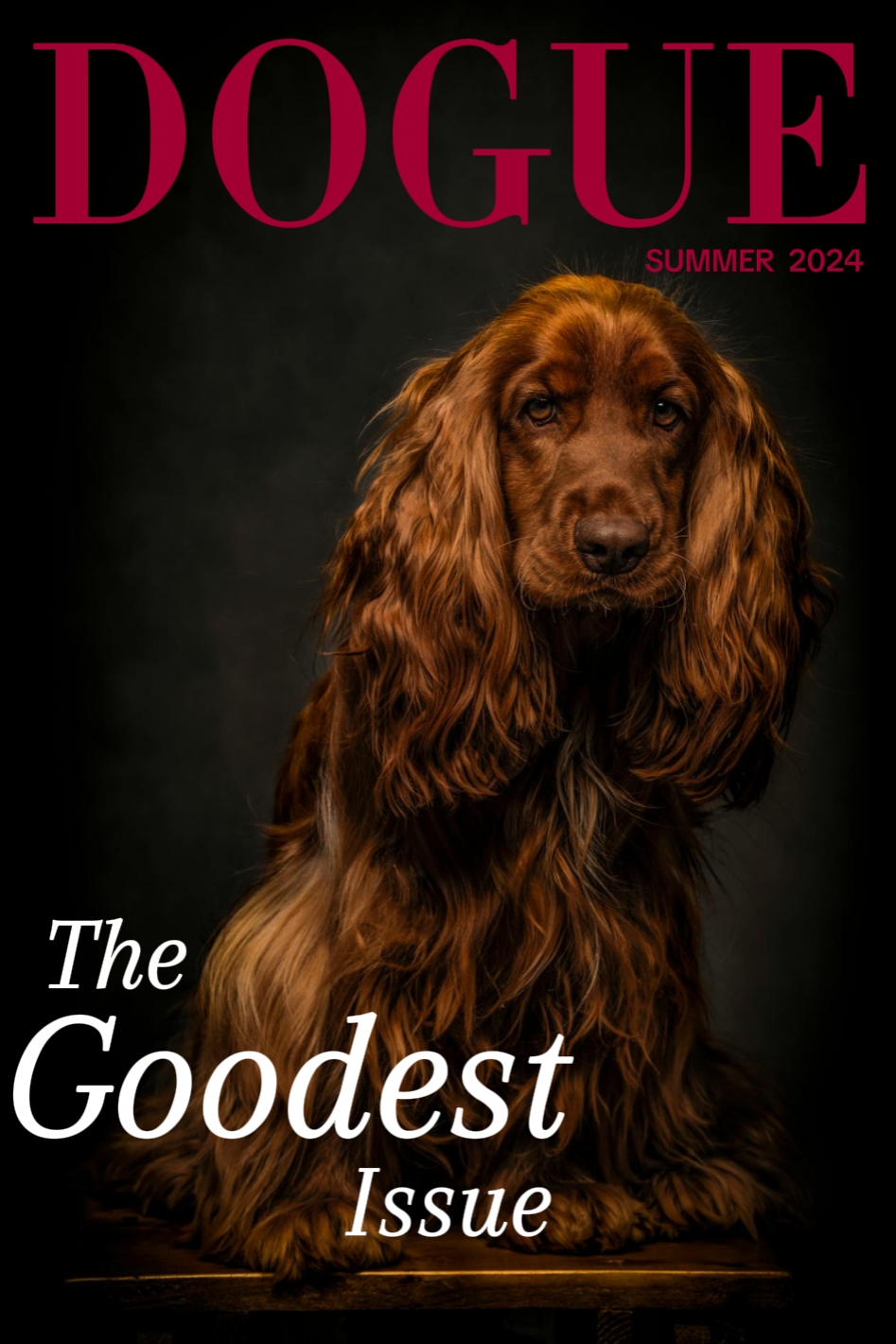 Cover Picture