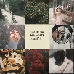 8 pics