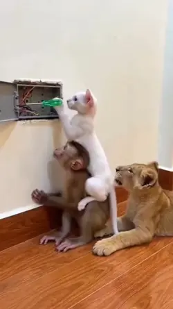 ngakak lucu